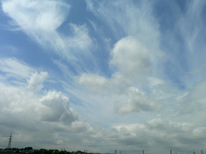 P1020393.jpg