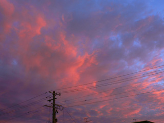 P1050567.jpg