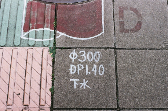 83210017.jpg