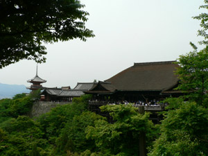 新緑の清水寺.jpg