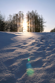 IMG_0678.jpg