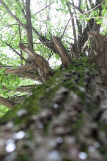 IMG_0808-1.jpg