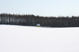 IMG_0985.jpg