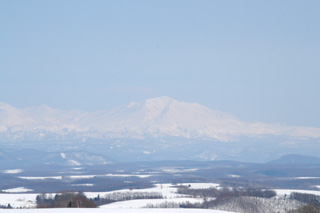 IMG_3882.jpg