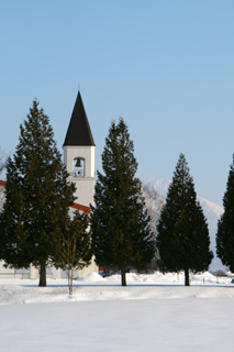 IMG_3906.jpg