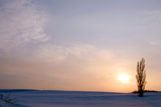 IMG_3937.jpg