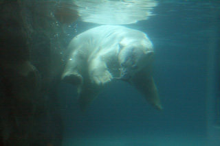 IMG_3973.jpg