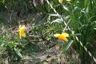 IMG_4966.jpg