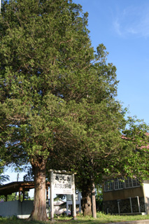 IMG_5202.jpg