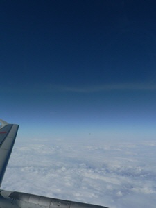 P1000163-1.jpg