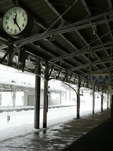P1000171-1.jpg