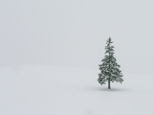 P1000301-1.jpg
