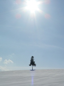 P1000385-1.jpg