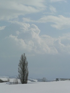 P1000401-1.jpg