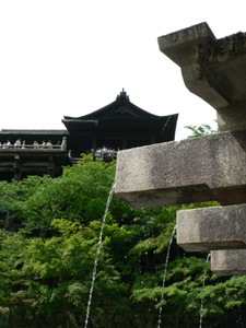 P1010557-1.jpg