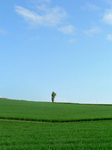 P1010904-1.jpg