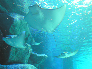 P1020489.jpg