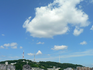 P1030005.jpg