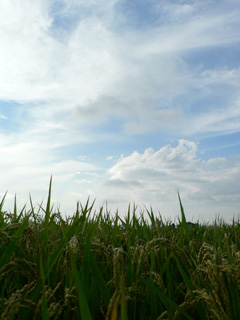 P1030014.jpg