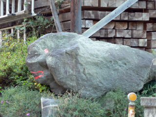 P1030546.jpg