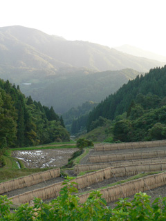 P1030558.jpg
