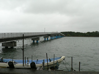 P1030599.jpg