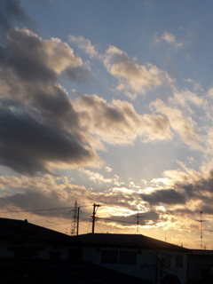 P1040124.jpg