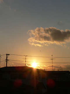 P1040126.jpg