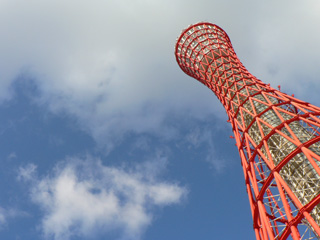 P1040317.jpg