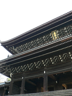 P1040445.jpg