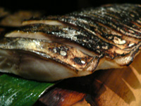 P1040496.jpg