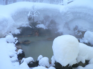 P1050010.jpg