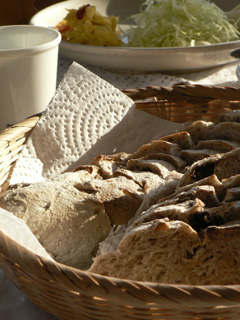 P1050022.jpg
