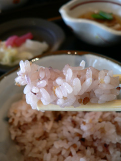P1050086.jpg