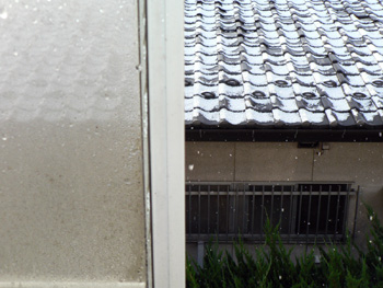 P1060097-1.jpg