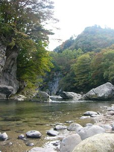 P1060274-1.jpg