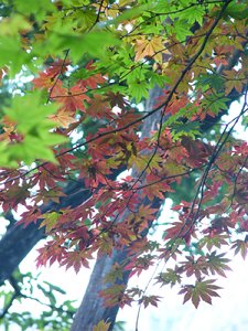 P1060328-1.jpg
